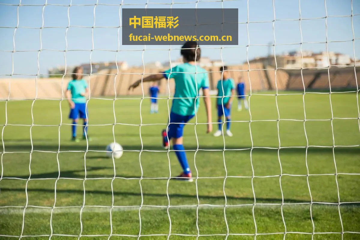 中国福彩双色球玩法入口